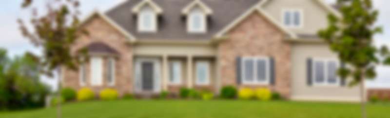 Drone-Based Pest Surveillance